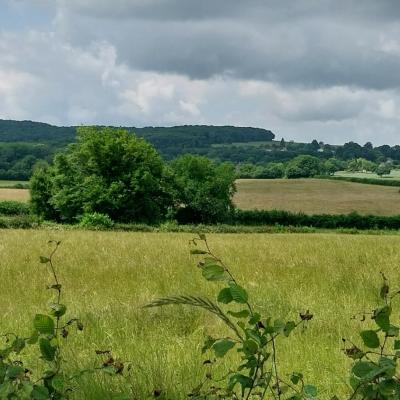 Saxi-Bourdon 8 juin 2025