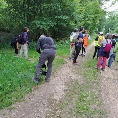 Saint-Martin-d'Heuille 9 mai 2025