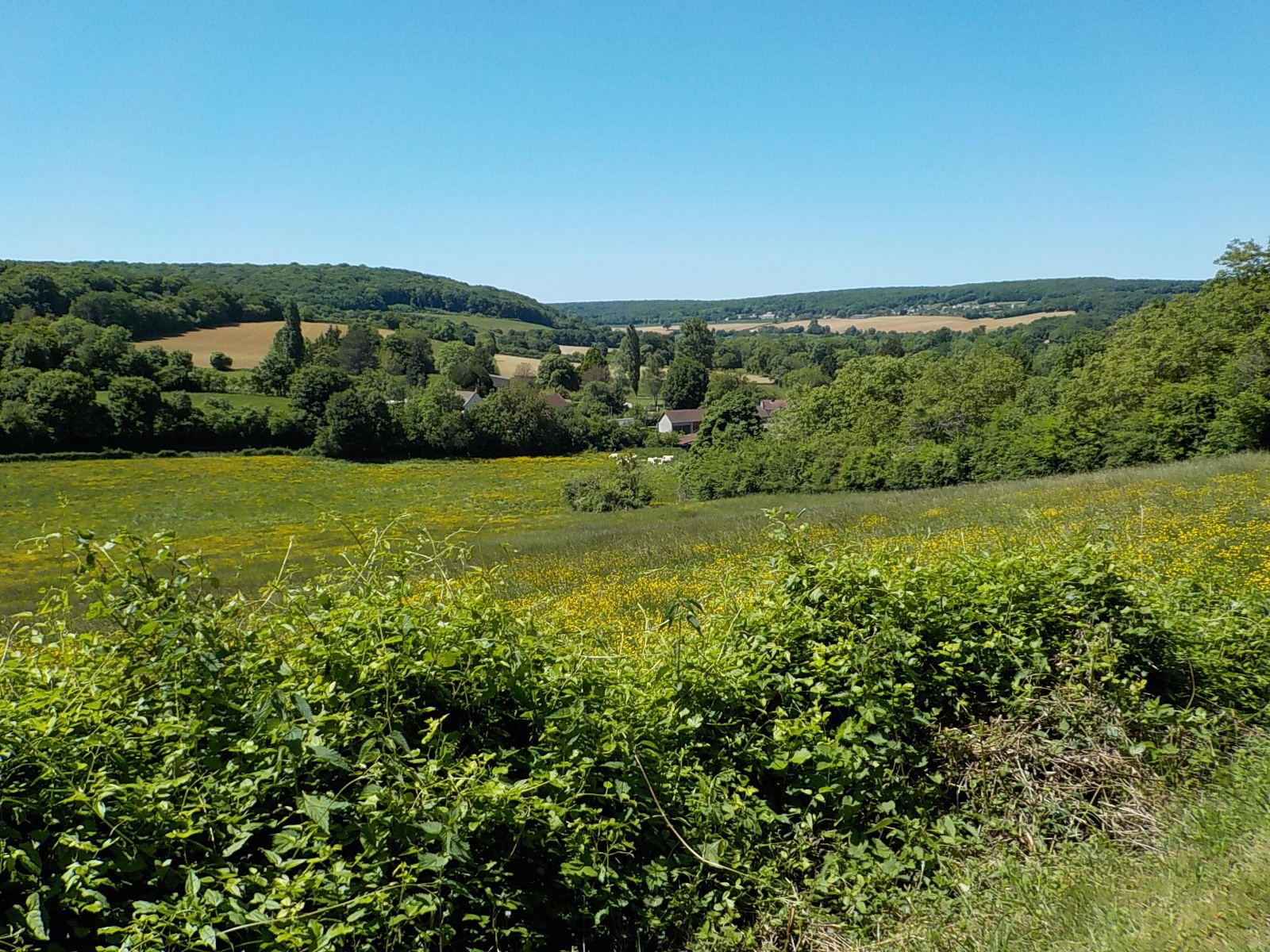 Dscn1812