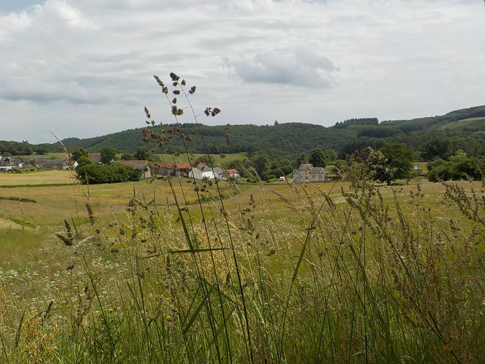 Dscn1870