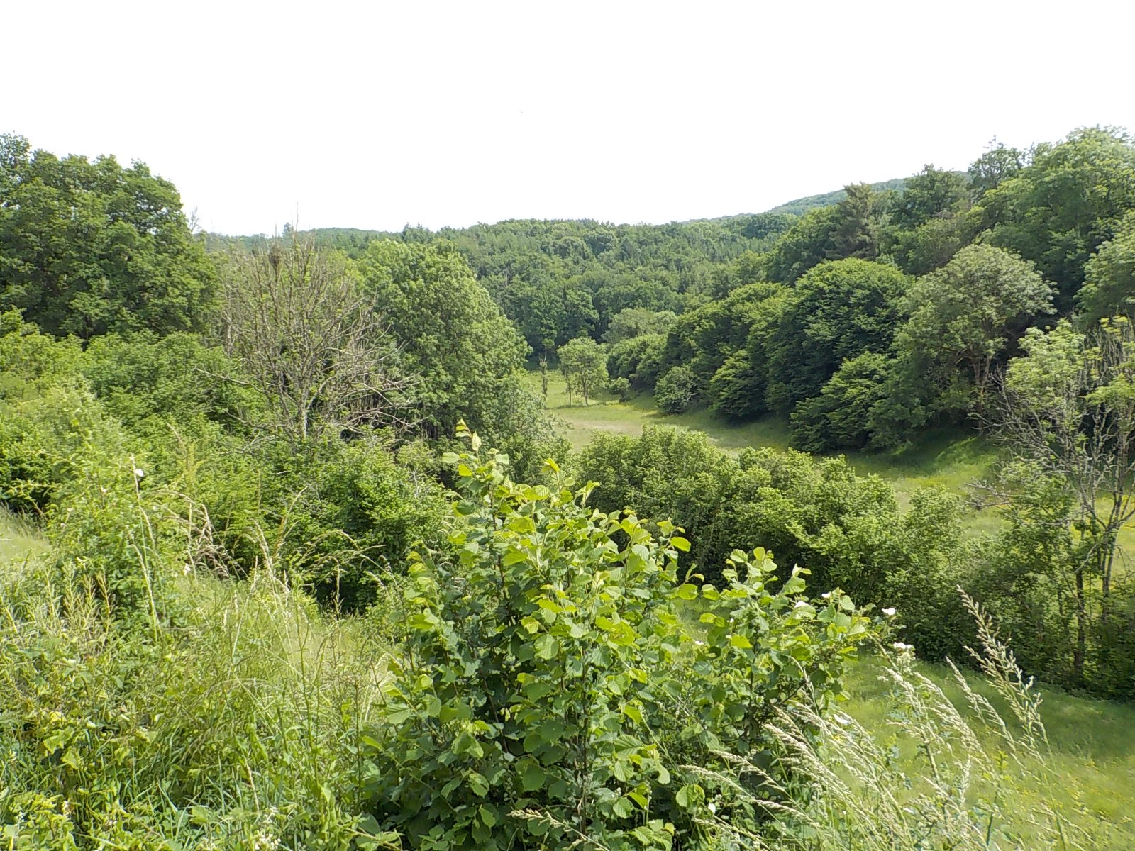 Dscn1871