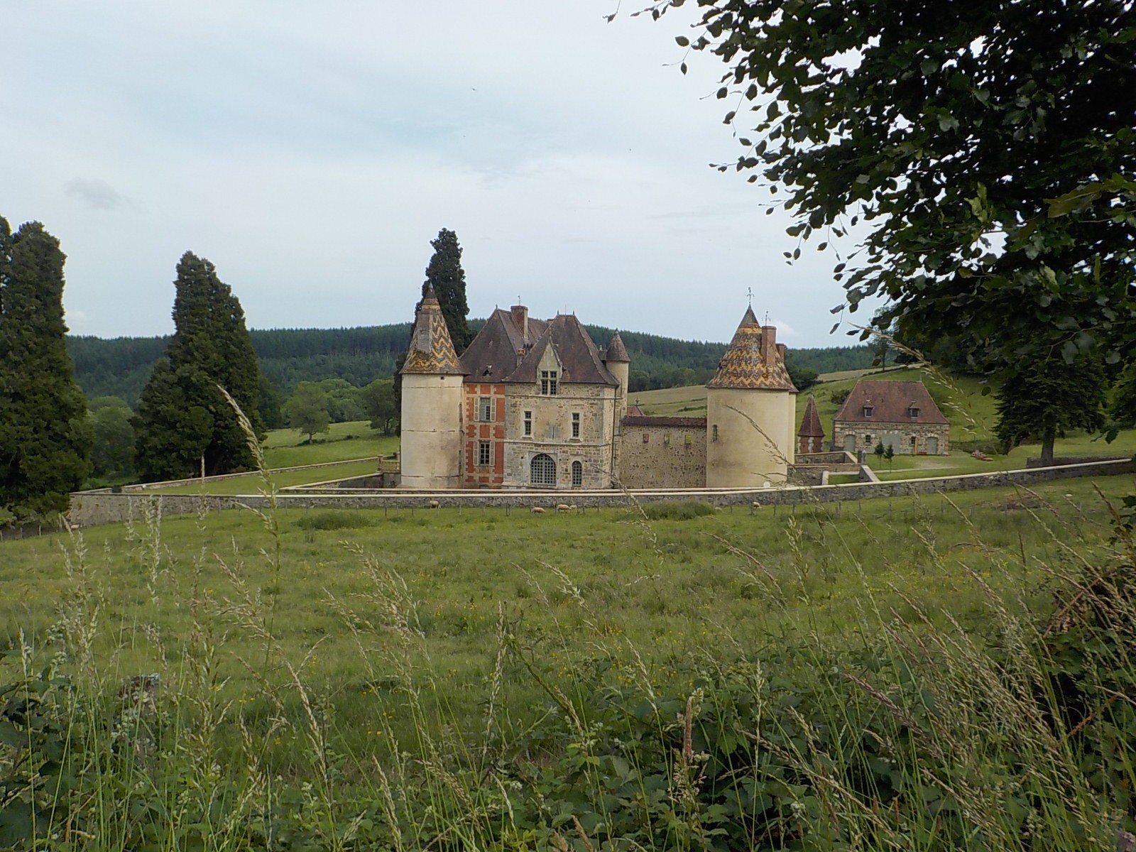 Dscn1890
