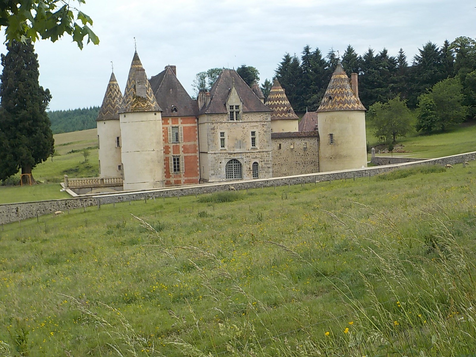 Dscn1891