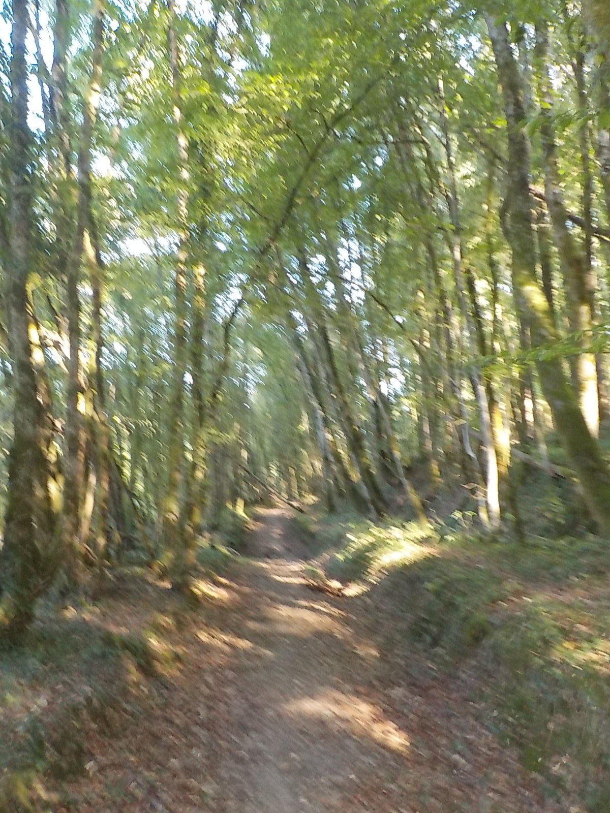 Dscn4221
