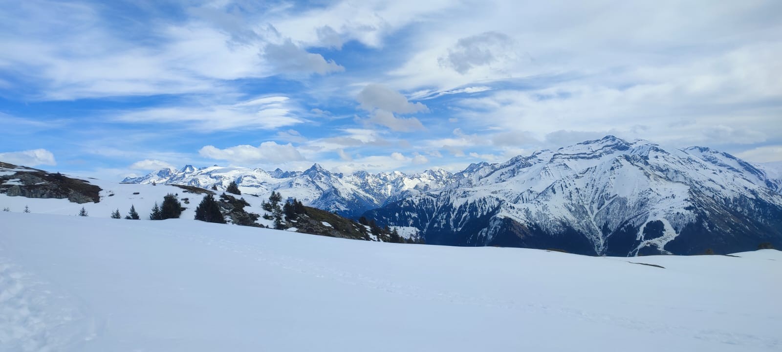 Img 20250309 wa0011