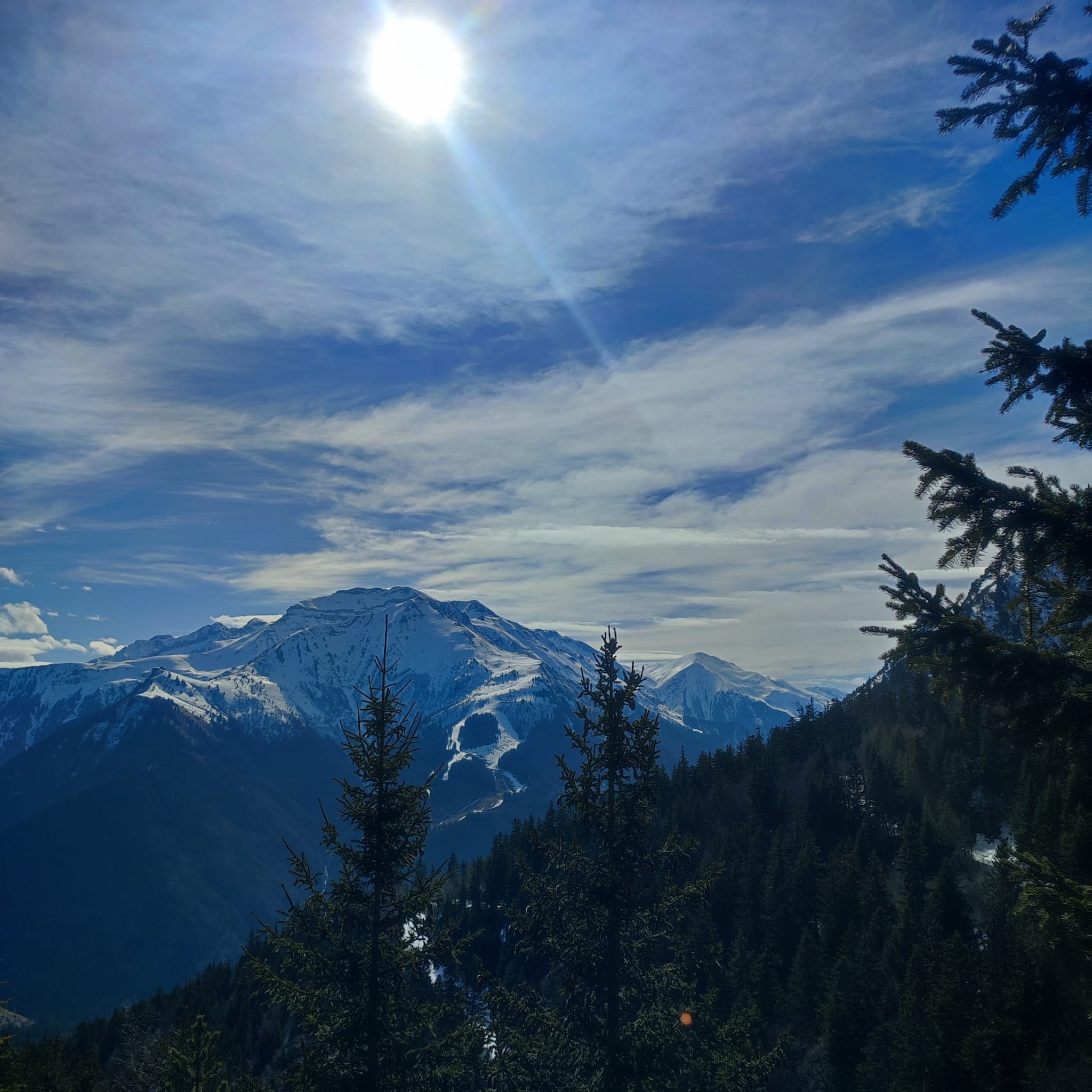 Img 20250309 wa0016