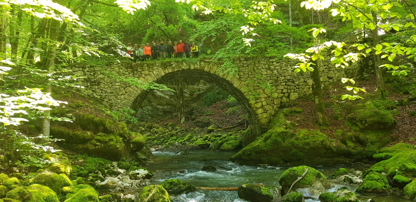 Img 20250513 wa0004