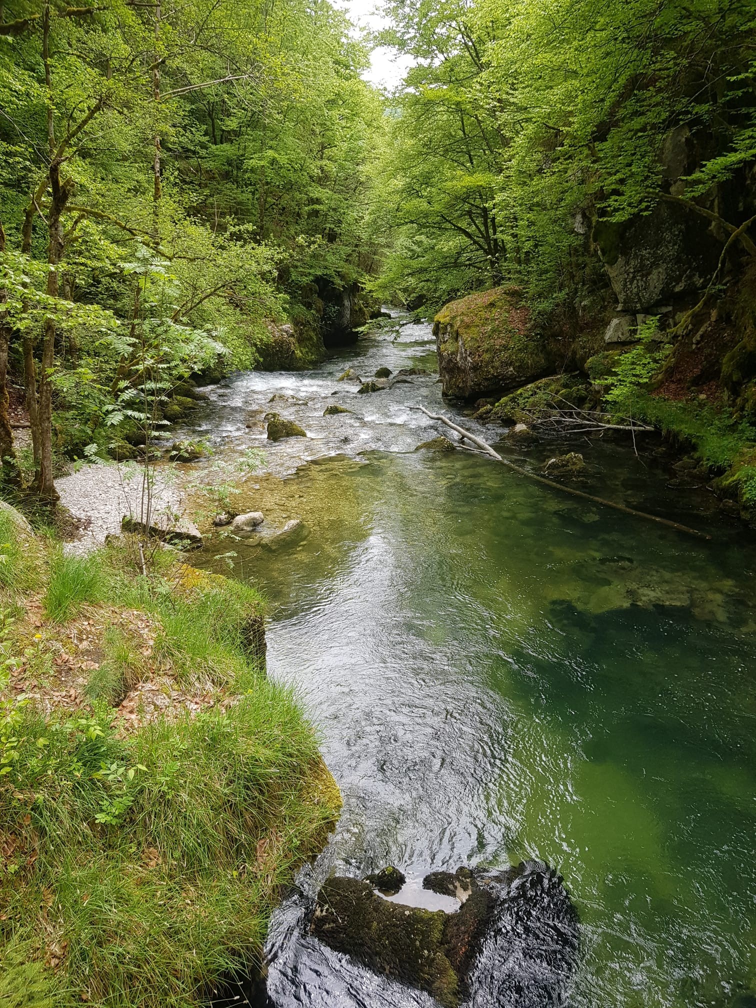 Img 20250513 wa0023