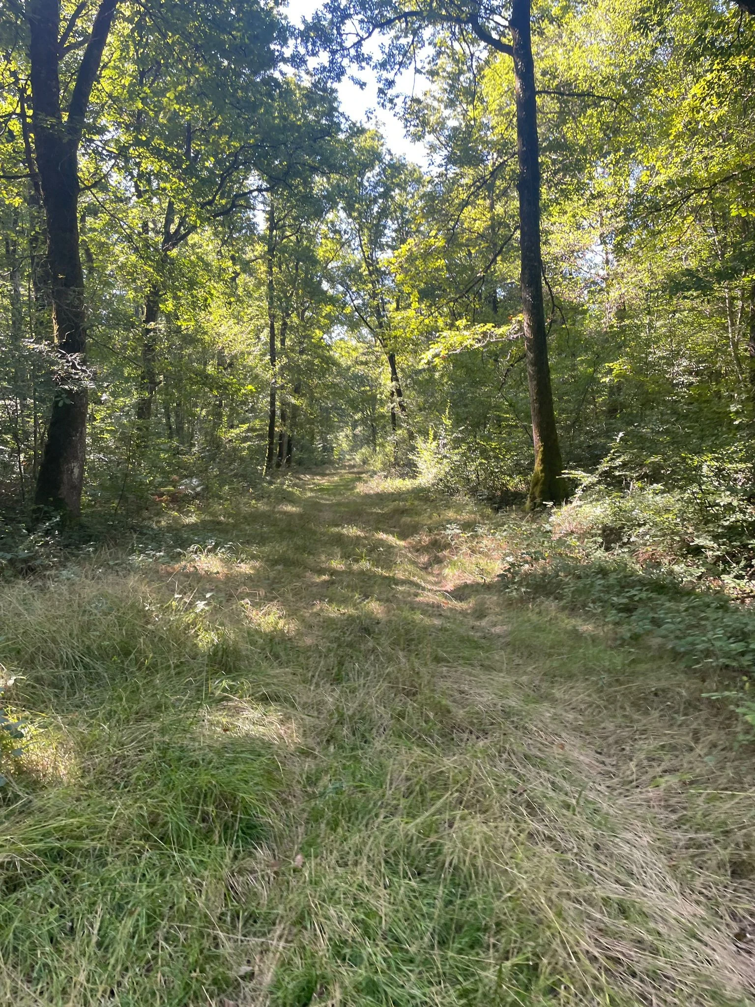 Img 20250907 wa0004