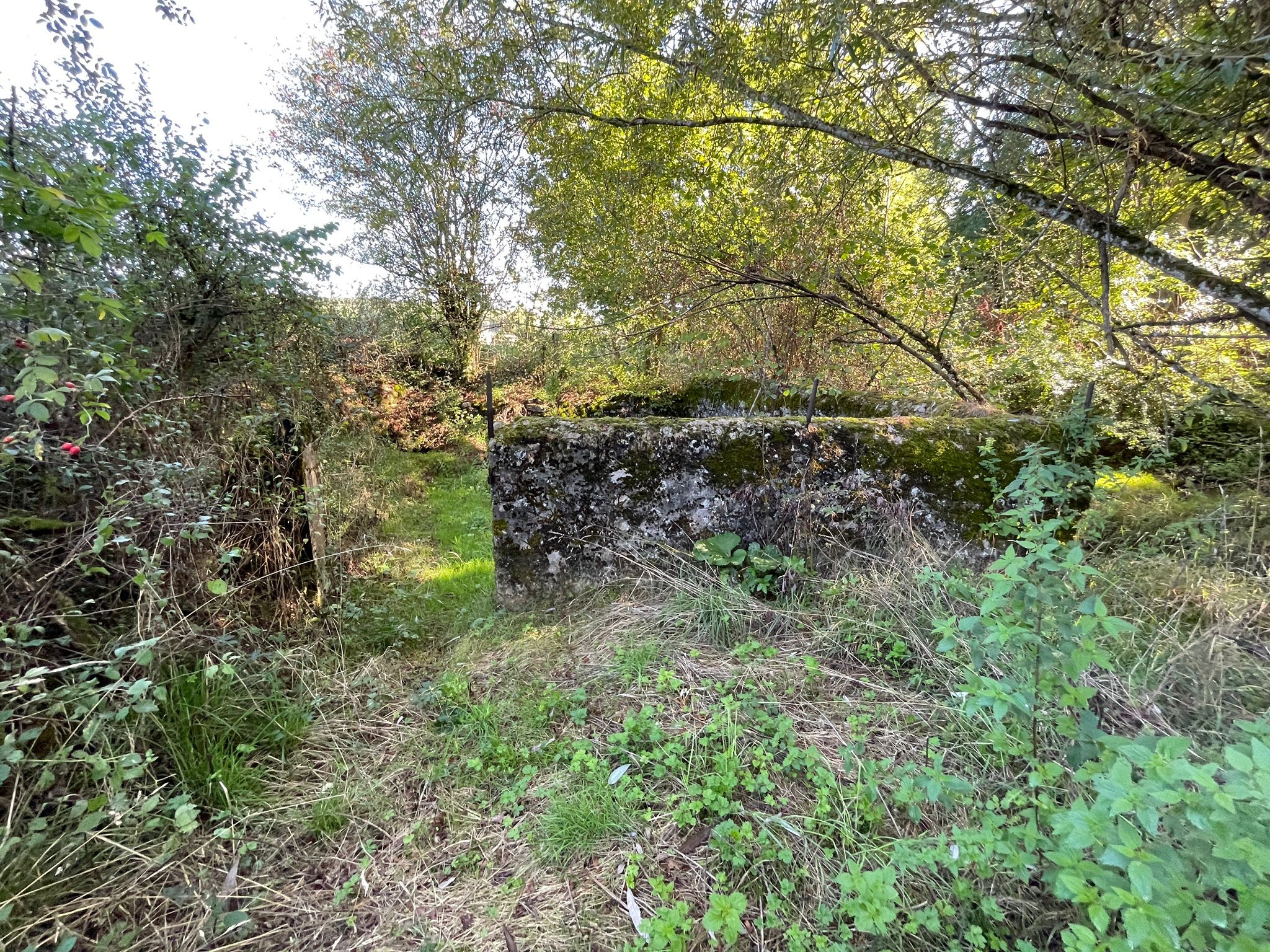Img 20250907 wa0007