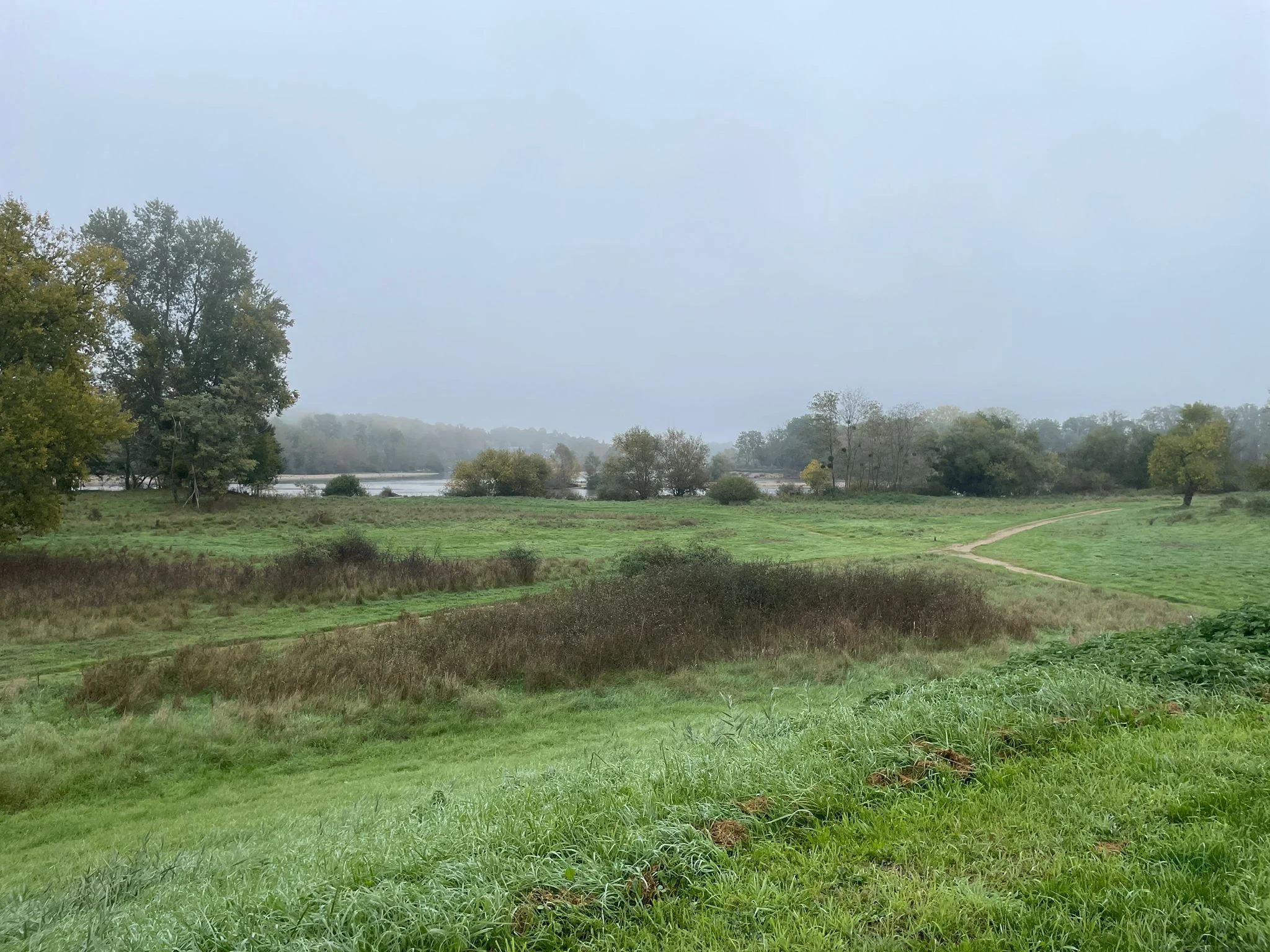Img 20251012 wa0029